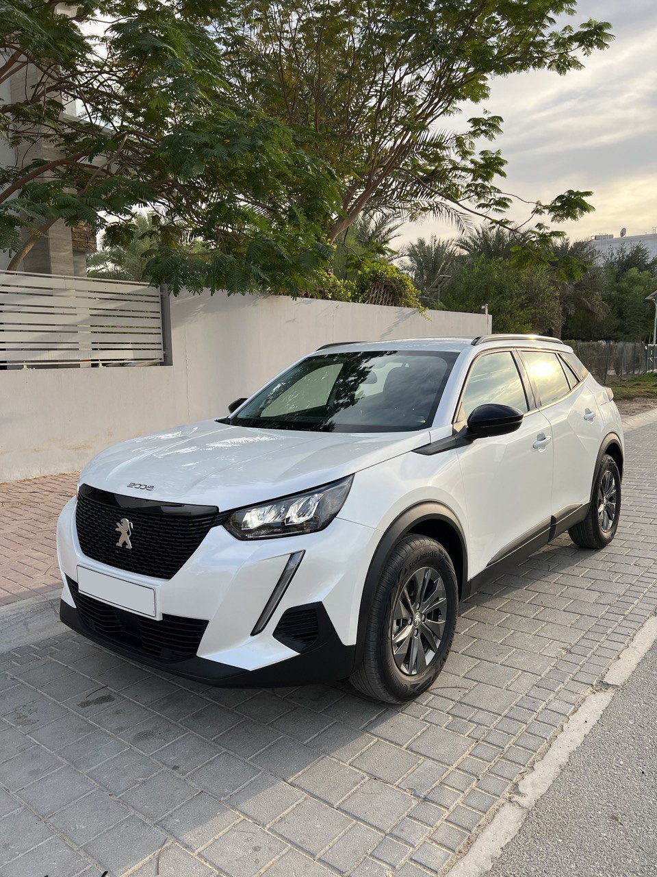 Detail Picture Peugeot 2008 - Rent in Dubai