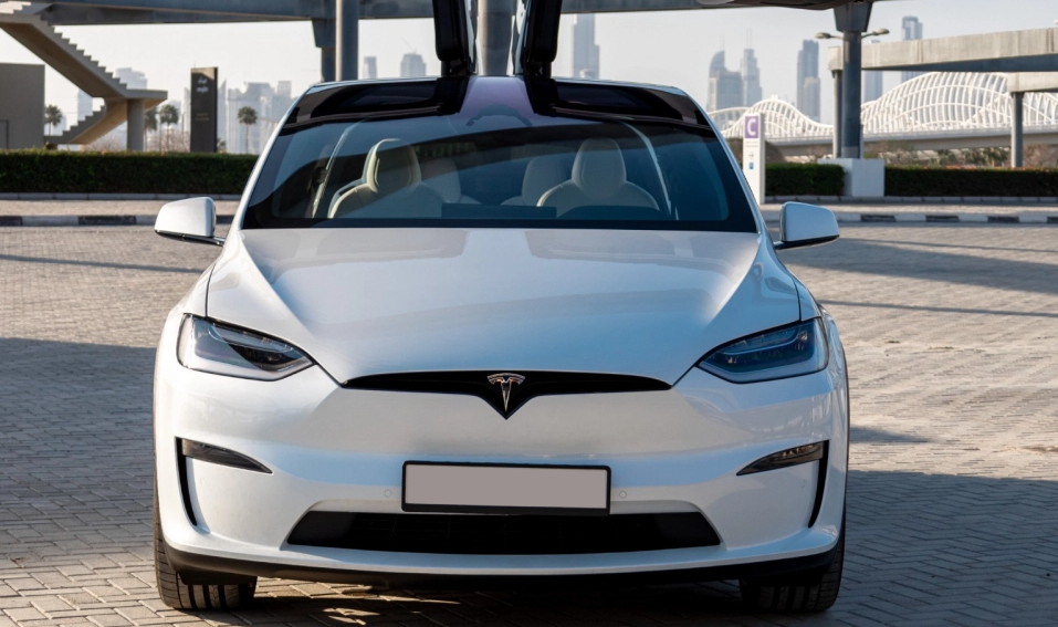 Detail Picture Tesla Model X Plaid 2023-2024 - Rent in Dubai